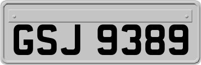 GSJ9389