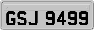 GSJ9499