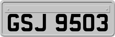 GSJ9503