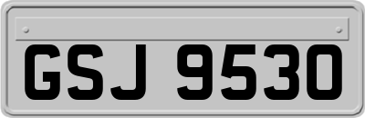 GSJ9530