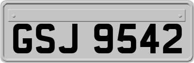GSJ9542