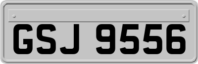 GSJ9556
