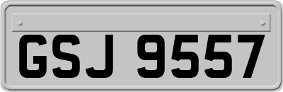 GSJ9557