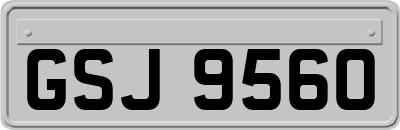 GSJ9560