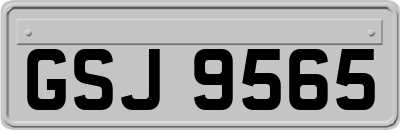 GSJ9565