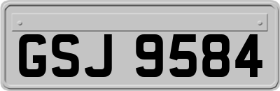 GSJ9584