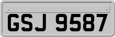 GSJ9587