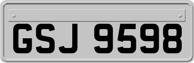 GSJ9598