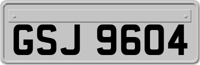 GSJ9604