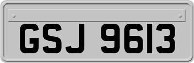 GSJ9613
