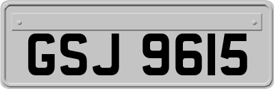 GSJ9615
