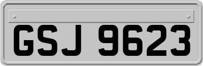 GSJ9623