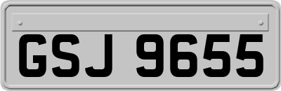 GSJ9655