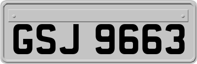 GSJ9663