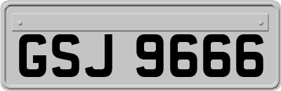 GSJ9666