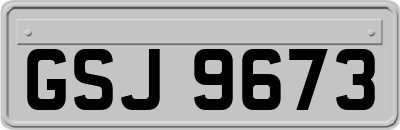 GSJ9673
