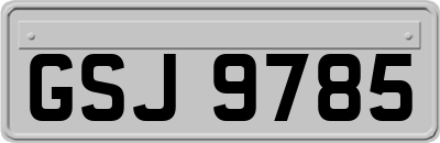 GSJ9785