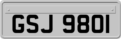 GSJ9801