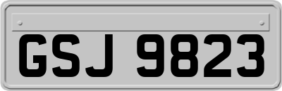 GSJ9823