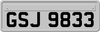 GSJ9833