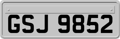 GSJ9852