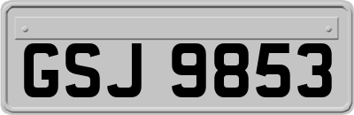GSJ9853