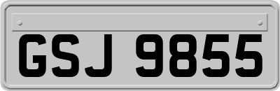 GSJ9855