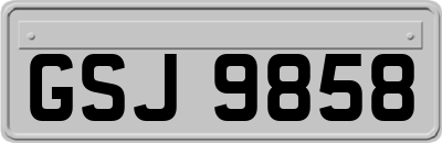 GSJ9858