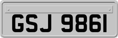 GSJ9861