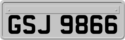 GSJ9866