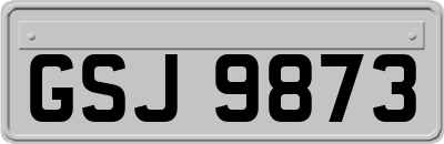 GSJ9873