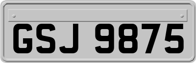 GSJ9875