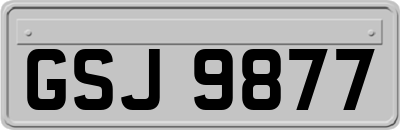 GSJ9877