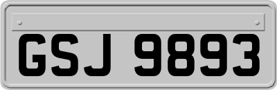 GSJ9893