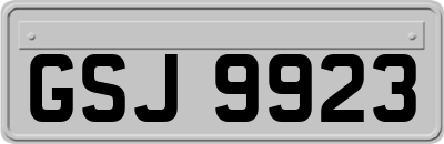 GSJ9923