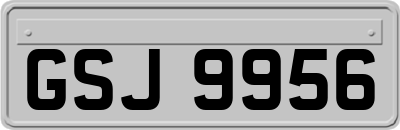 GSJ9956