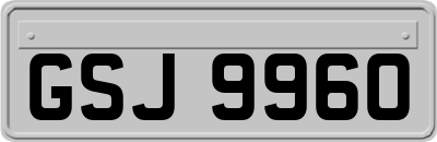 GSJ9960