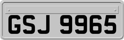 GSJ9965