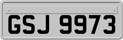 GSJ9973