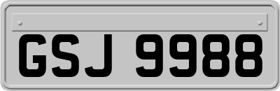 GSJ9988