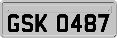 GSK0487