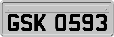 GSK0593