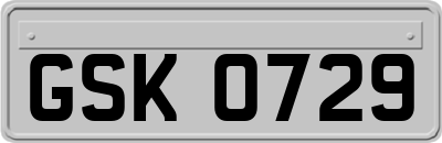GSK0729