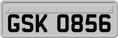 GSK0856