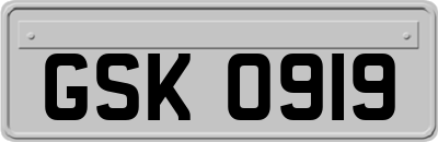 GSK0919