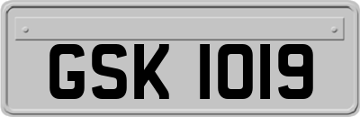 GSK1019