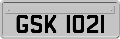 GSK1021