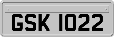 GSK1022