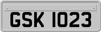 GSK1023