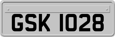 GSK1028